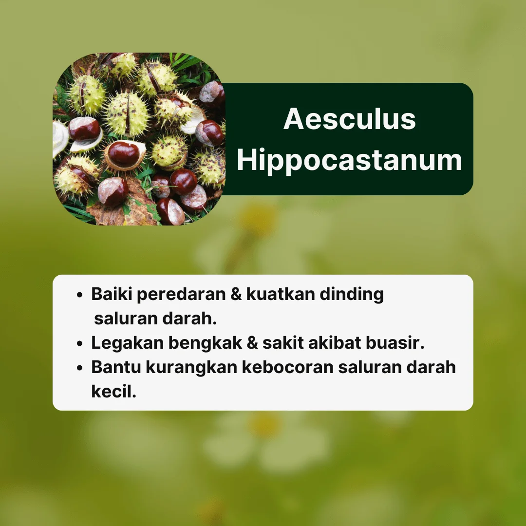 Bahan2 AmaHerbs Tiktok (1) (1)