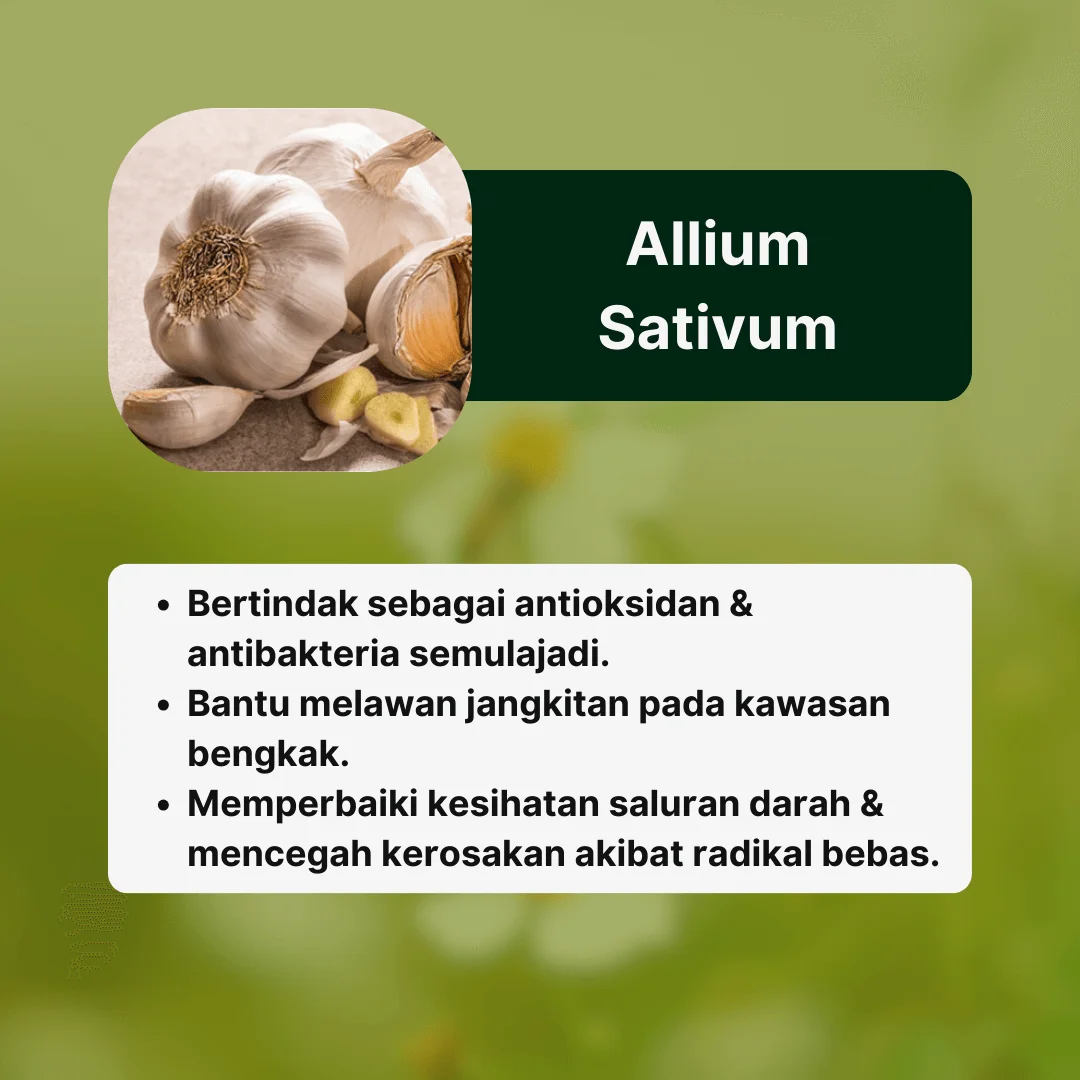 Bahan2 AmaHerbs Tiktok (3) (1)