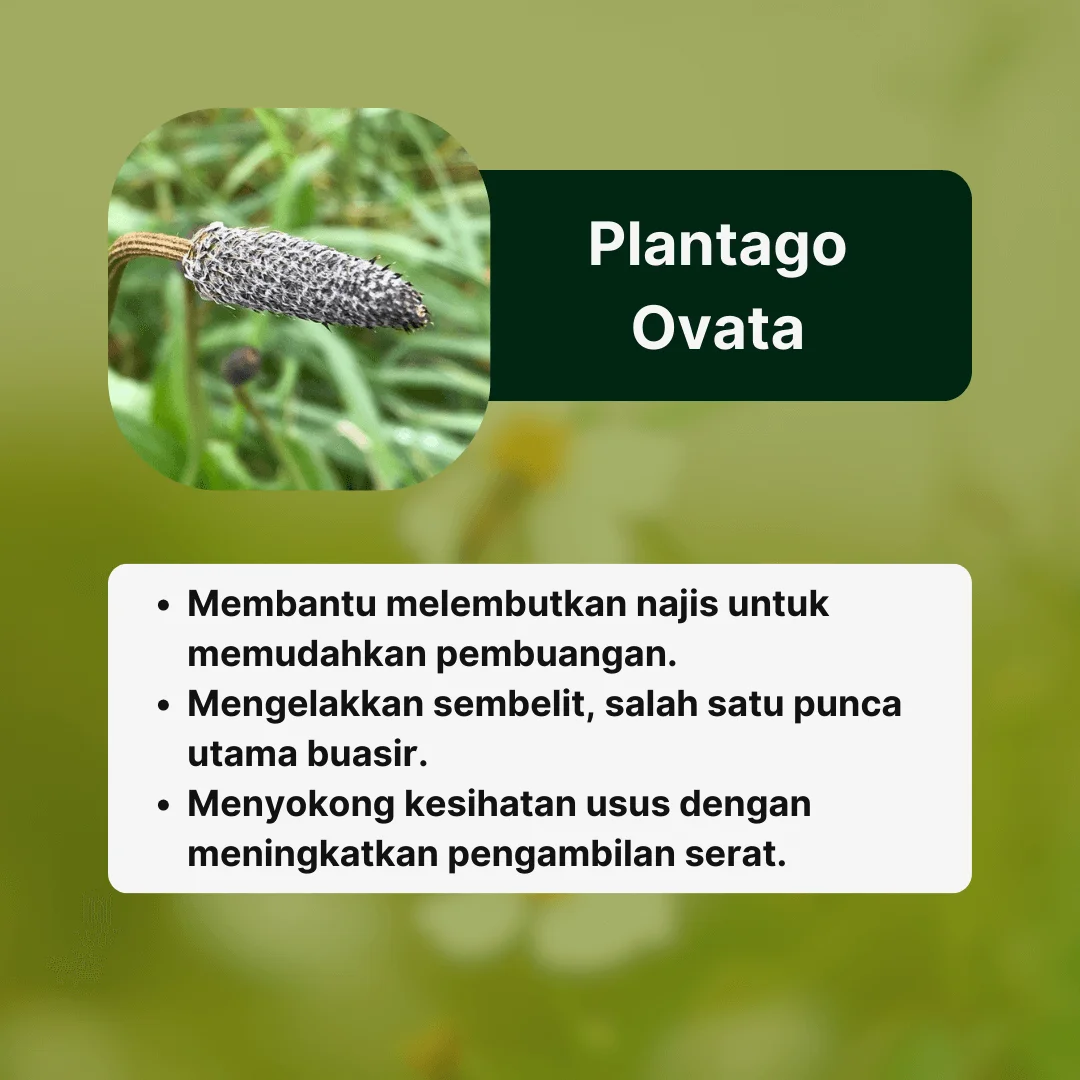 Bahan2 AmaHerbs Tiktok (4) (1)