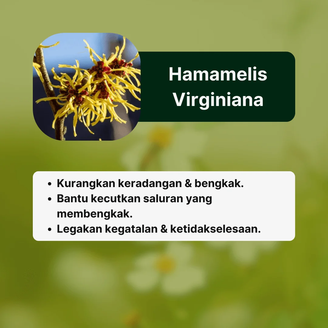 Bahan2 AmaHerbs Tiktok (6)